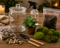 Terrarium Kit